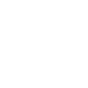 pertamina logo