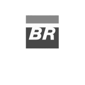petrobras logo